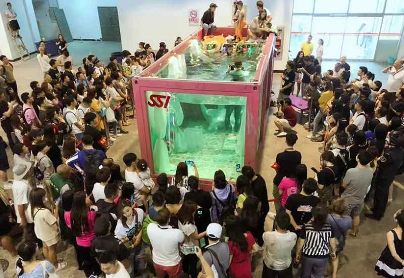 Pre-registration for the 2026 Singapore Diving Show is now open!